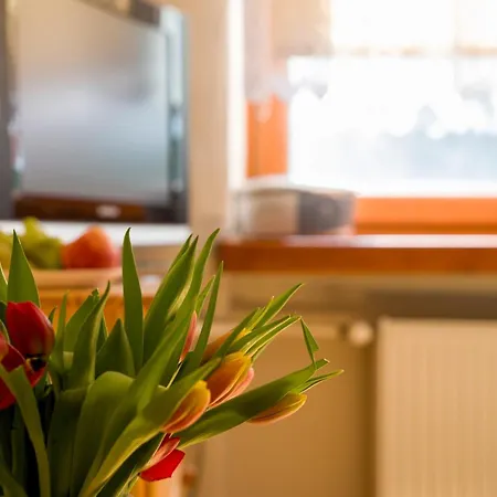 Halo Apartment Wisla