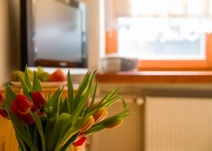 Halo Apartmán Visla